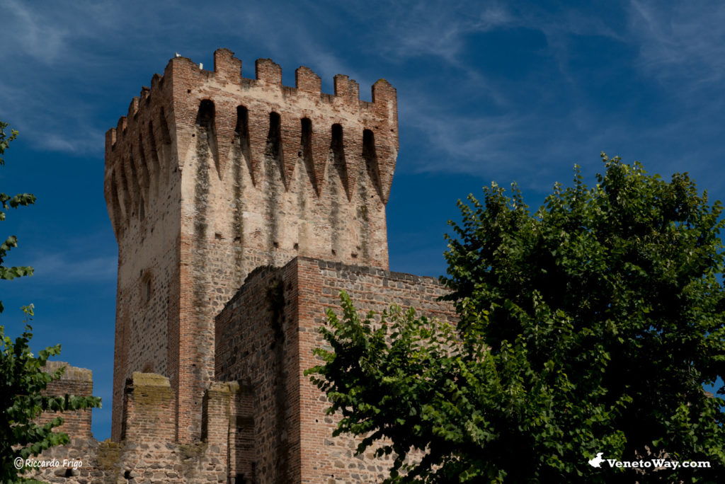 The Carrarese Castle