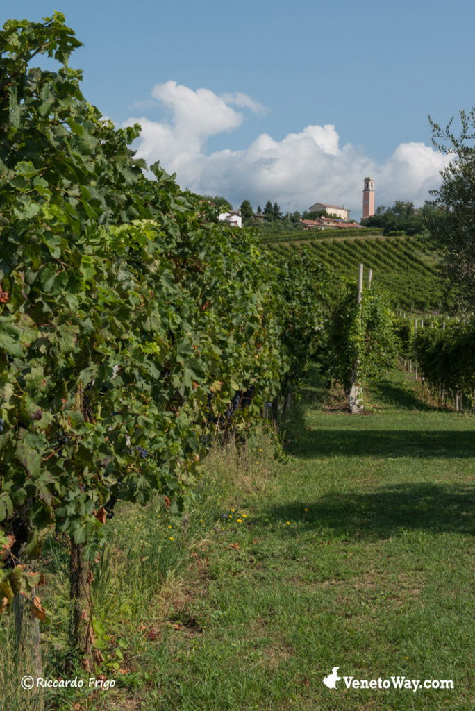 Ways of Breganze Wine