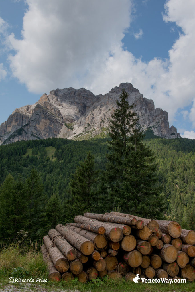 The Zoldo Dolomites