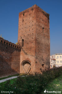 Mozza Tower