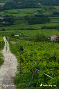 The Ways of Valpolicella Wine Roads