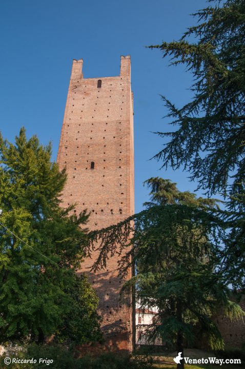 Torre Donà